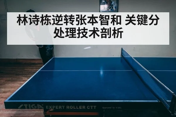 林诗栋逆转张本智和 关键分处理技术剖析